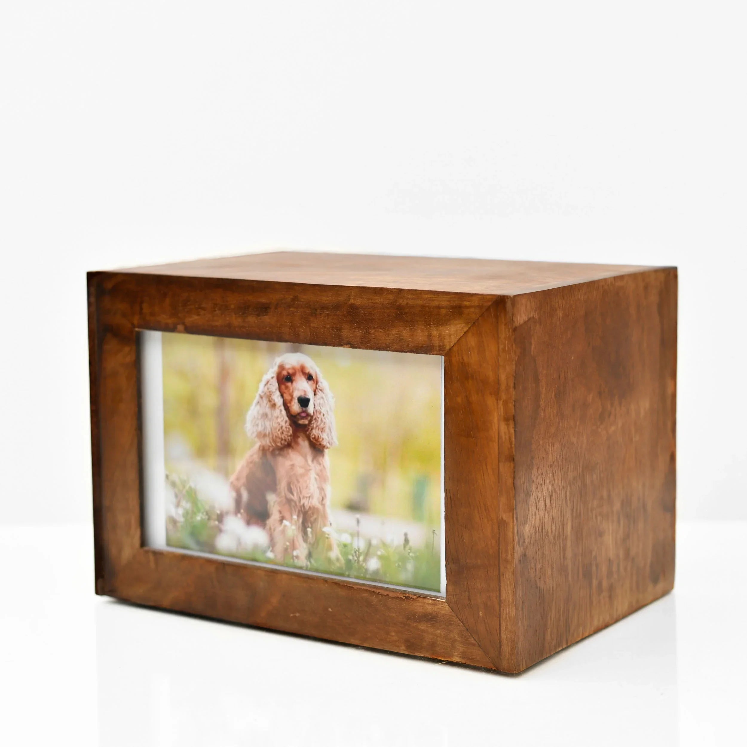 Anfora Caja Cerezo Foto