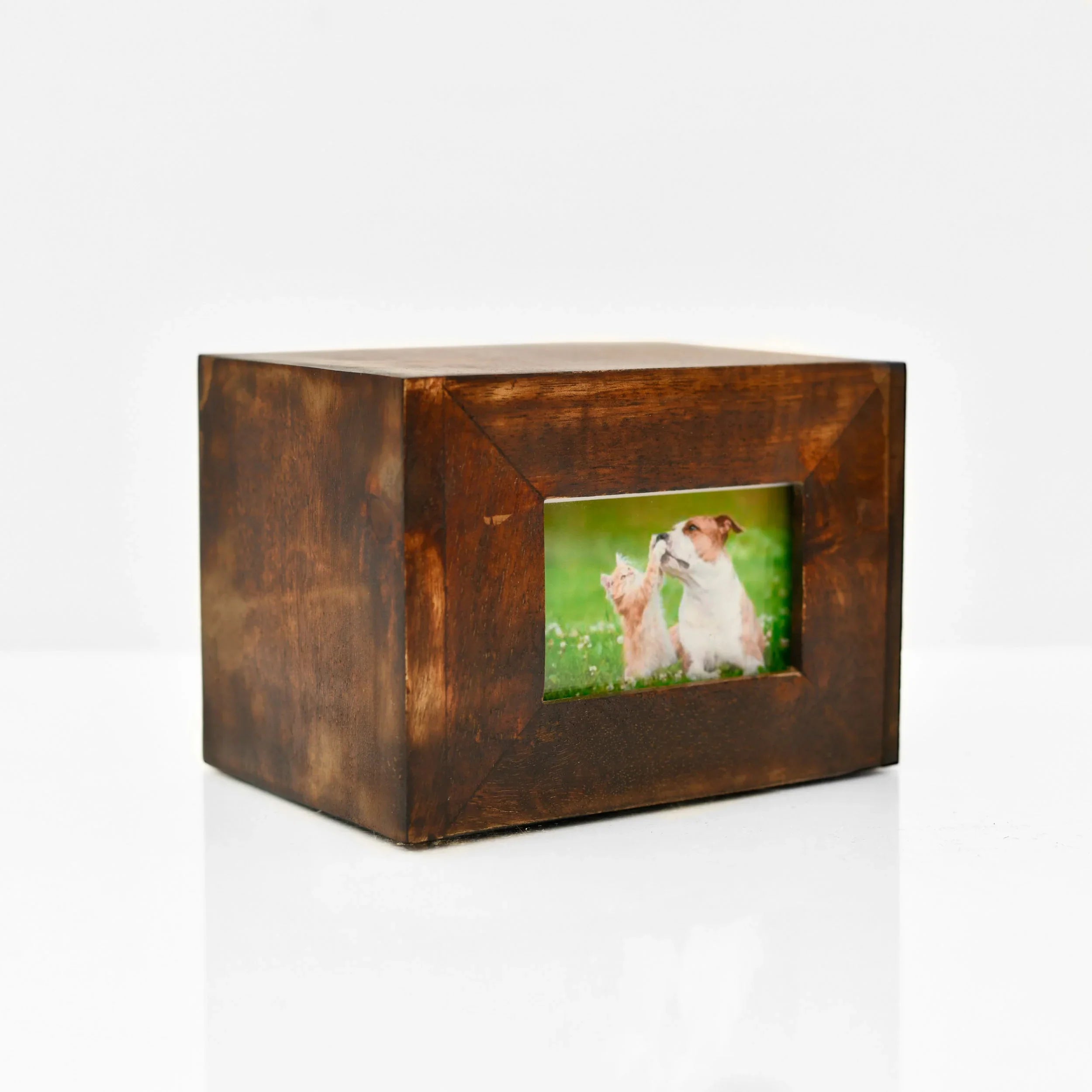 Anfora Caja Cerezo para foto – Almascotas Chile
